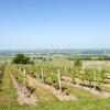 Hoteles con parking en Saint-Laurent-des-Vignes