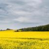 Отели с парковкой в городе Локронан