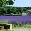 Saint-Auban-sur-lʼOuvèze şehrindeki otoparklar