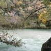 Cheap hotels in Elati Zagori