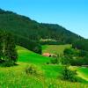 Cheap hotels in Bad Liebenzell