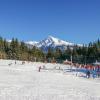 Ski Resorts in Vysoke Tatry - Podbanske