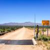 Hoteles en Dolan Springs