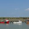 Hoteles en Rye Harbour