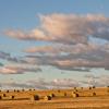 ทริปวันหยุดราคาถูกในOkotoks