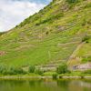 Hotels with Parking in Mülheim an der Mosel