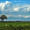 Agroturismos en Pescia Romana