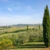 Holiday Rentals in Pignano