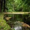 Parkolóval rendelkező hotelek Łochówban