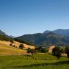 Alquileres vacacionales en Bacchereto