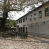 Monodendri