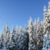 Tuusula