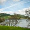 Pet-Friendly Hotels in Beauly