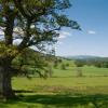 Bed and breakfasts en Crieff