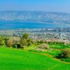 Hoteles familiares en Neot Golan