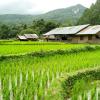 Hoteles con estacionamiento en Ban Huai Chomphu