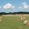 Cottages in Gannay-sur-Loire