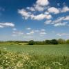 Holiday Homes in Rickinghall