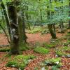 Auberges de jeunesse à Zamudio