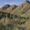 Cottages in Cave Creek