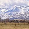 Cottages in South Jordan