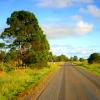 Cottages in Eumundi