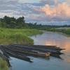 Sauraha