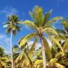 Hotels in Las Galeras