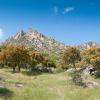 Pet-Friendly Hotels in Cercedilla