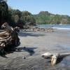 Hôtels près de la Plage à Barra de Potosi