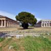 Holiday Rentals in Capaccio-Paestum