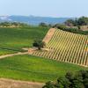 Penginapan di Ladang di Riotorto