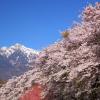 Alojamientos con onsen en Kofu