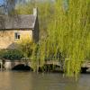 Pet-Friendly Hotels in Bourton on the Water