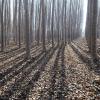 Готелі з парковкою у місті La Llagosta