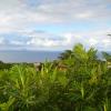 Hotels with Pools in Cudjoe Head