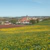 Hotels mit Parkplatz in Ringsheim