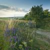 Cottages in Wincanton