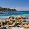 Pet-Friendly Hotels in Dunsborough