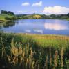 Cottages in Lacapelle-Viescamp