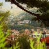 Trjawna