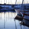 Boats in Gruissan