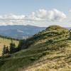 Karpaty
