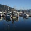 Hoteles en Cowichan Bay