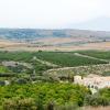 Holiday Rentals in Carlentini