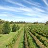 Mudgee