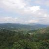 La Vega