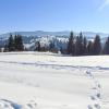 Jablunyzja