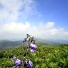 Alquileres vacacionales en Solliès-Toucas