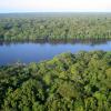 Hotell i Tortuguero